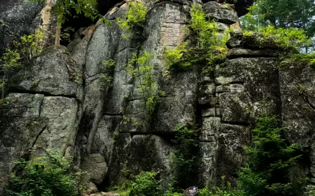 莽山,祥源,文旅,無障礙,景點,景區 祥源文旅投資湖南莽山  該景區為國內首個“無障礙旅游”景點